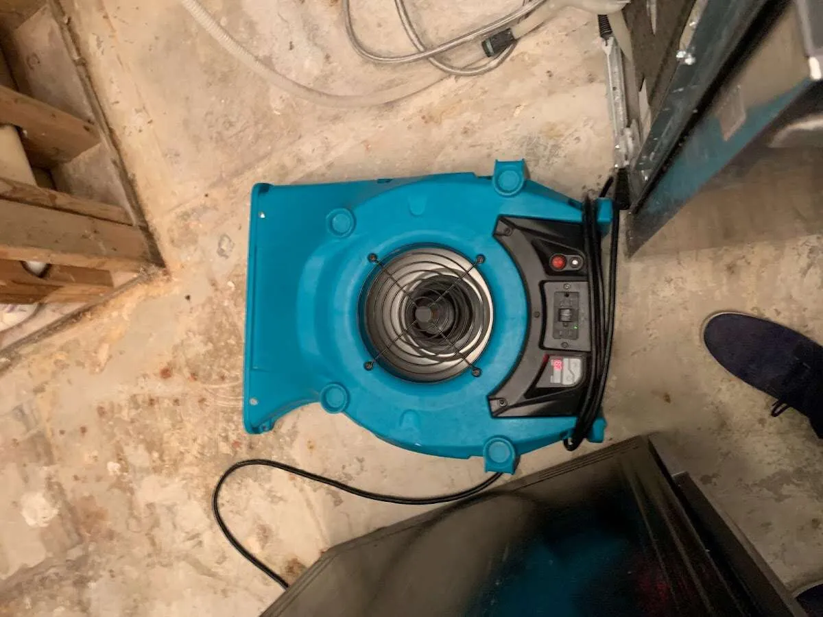Air mover drying equipment for Mold Remediation & Removal in Diboll